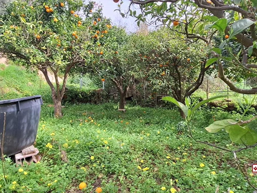 Immagine 2 di Terreno edificabile in vendita  a Rometta