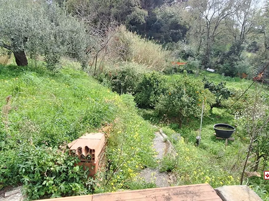 Immagine 6 di Terreno edificabile in vendita  a Rometta