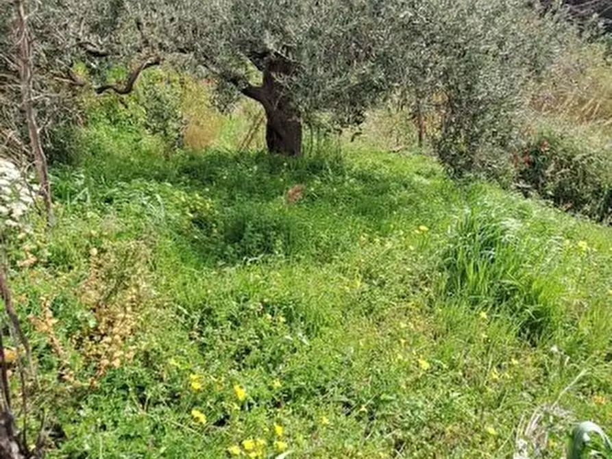 Immagine 5 di Terreno edificabile in vendita  a Rometta