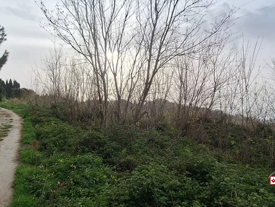 Immagine 6 di Terreno edificabile in vendita  a Villafranca Tirrena