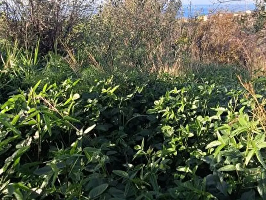 Immagine 10 di Terreno edificabile in vendita  a Roccavaldina