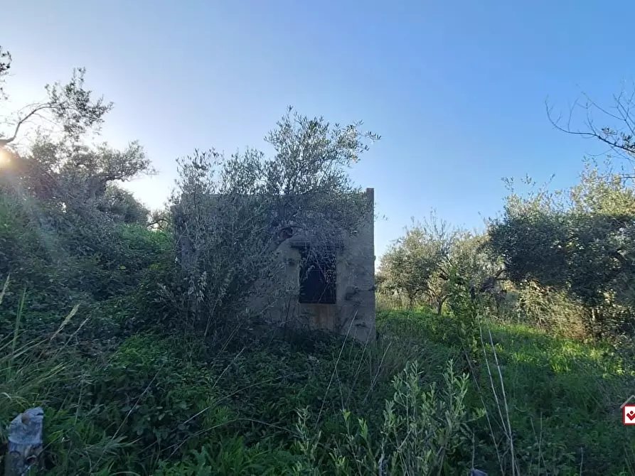 Immagine 7 di Terreno edificabile in vendita  a Roccavaldina