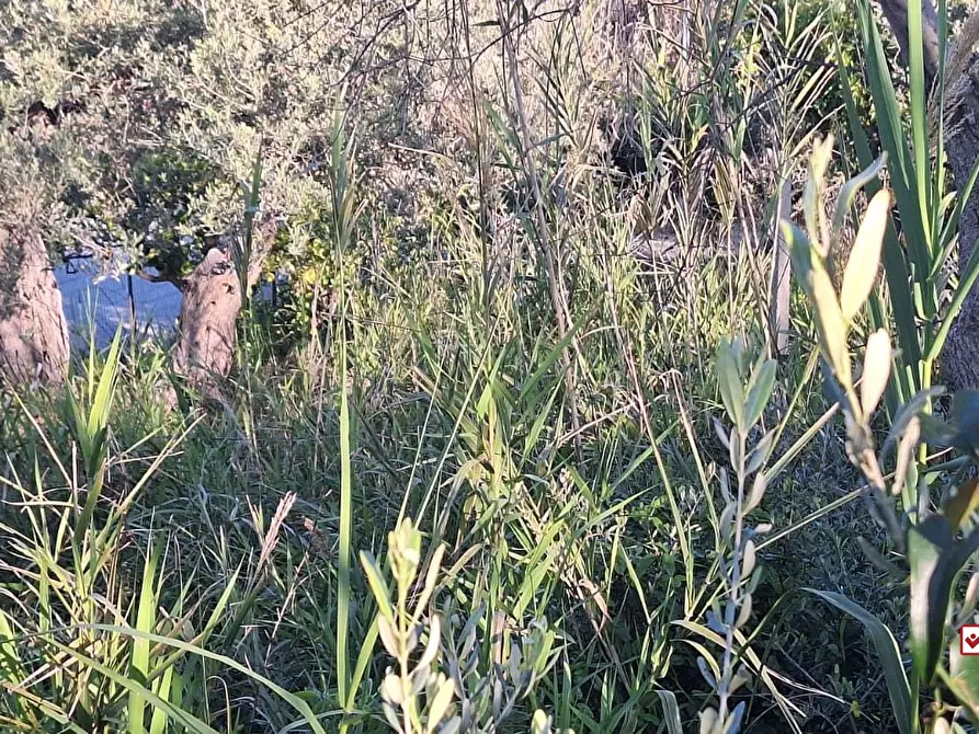 Immagine 8 di Terreno edificabile in vendita  a Roccavaldina