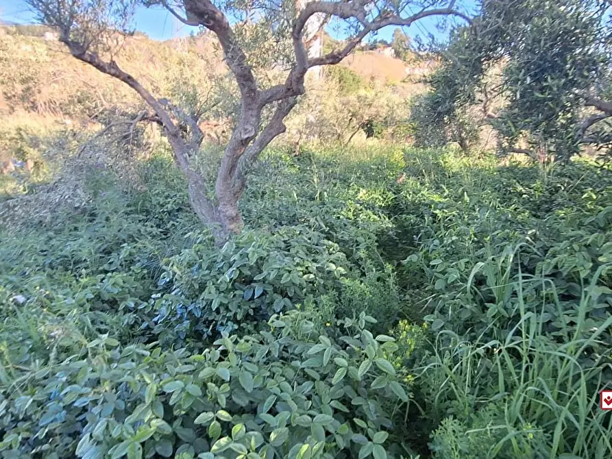 Immagine 9 di Terreno edificabile in vendita  a Roccavaldina