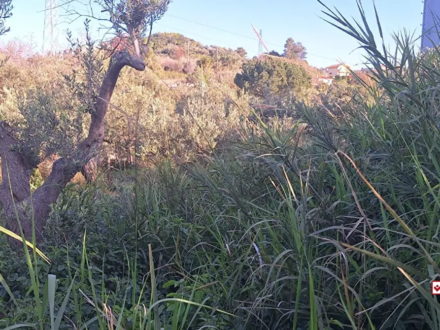 Immagine 6 di Terreno edificabile in vendita  a Roccavaldina