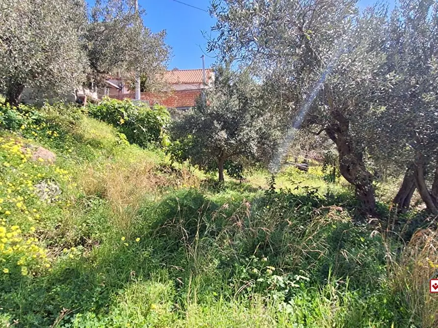 Immagine 7 di Terreno edificabile in vendita  a Messina