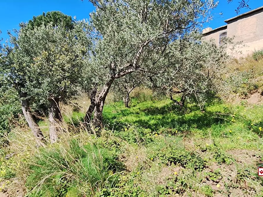Immagine 3 di Terreno edificabile in vendita  a Messina