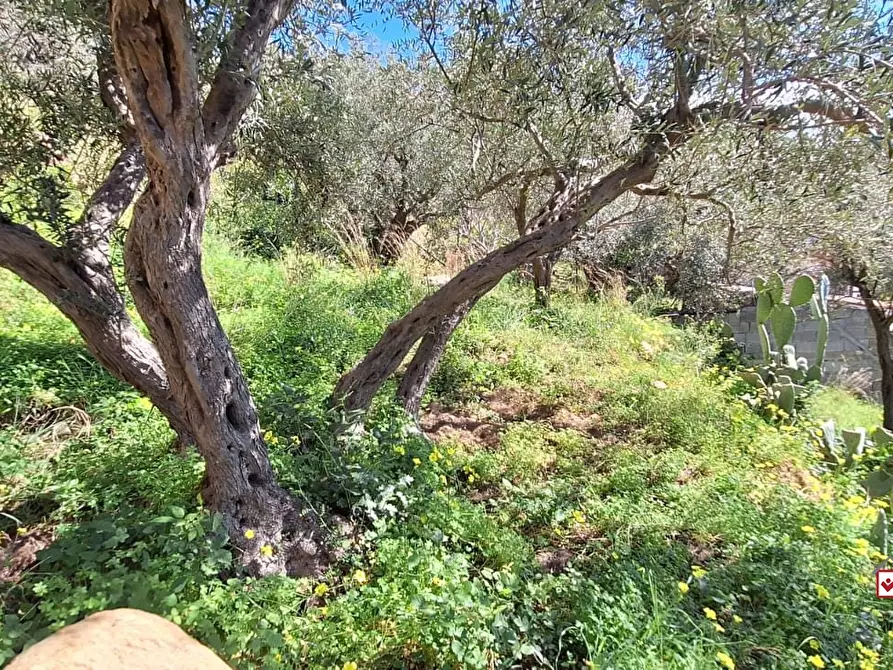 Immagine 6 di Terreno edificabile in vendita  a Messina