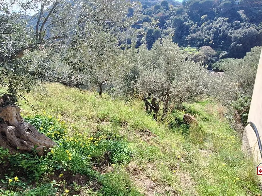Immagine 2 di Terreno edificabile in vendita  a Messina