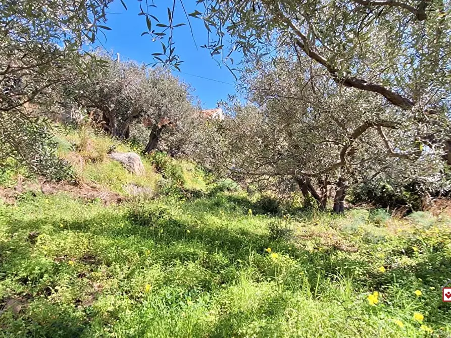 Immagine 1 di Terreno edificabile in vendita  a Messina