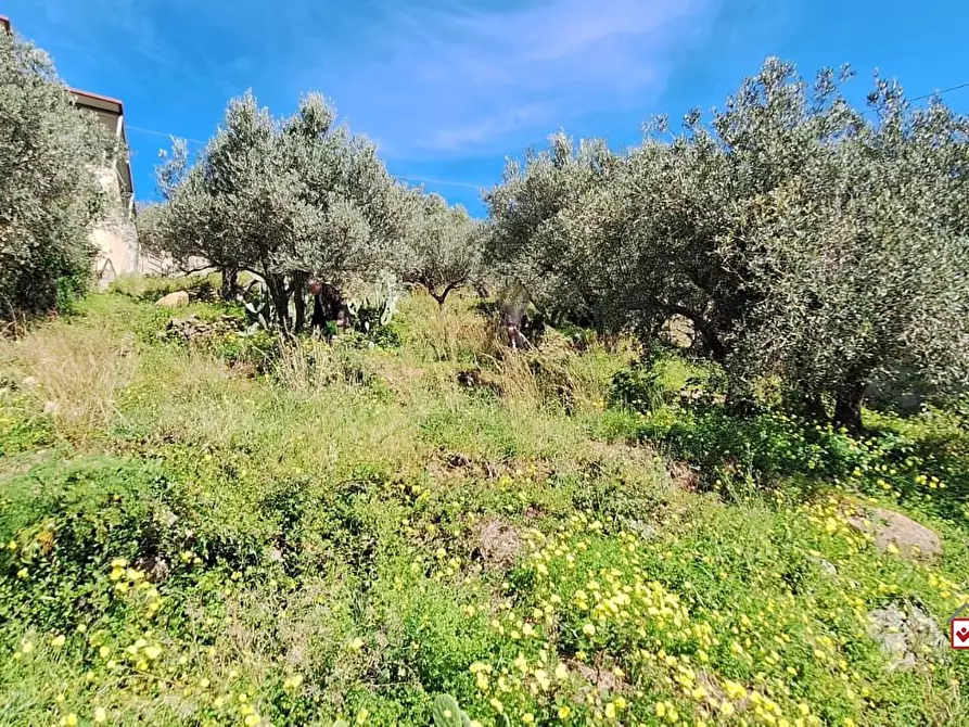 Immagine 5 di Terreno edificabile in vendita  a Messina