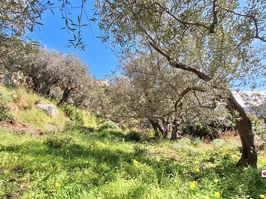Immagine 4 di Terreno edificabile in vendita  a Messina