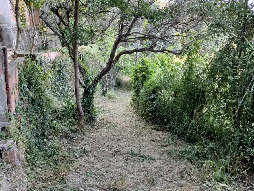 Immagine 7 di Terreno edificabile in vendita  a Rometta