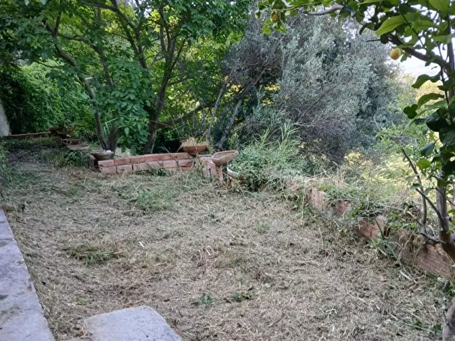 Immagine 6 di Terreno edificabile in vendita  a Rometta