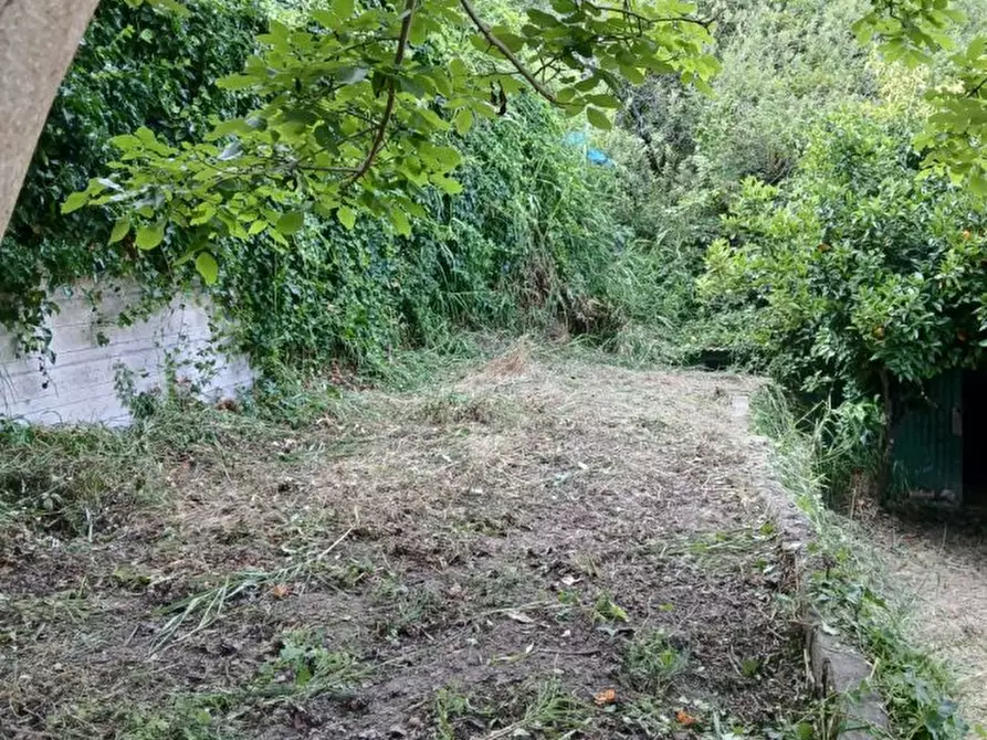 Immagine 5 di Terreno edificabile in vendita  a Rometta