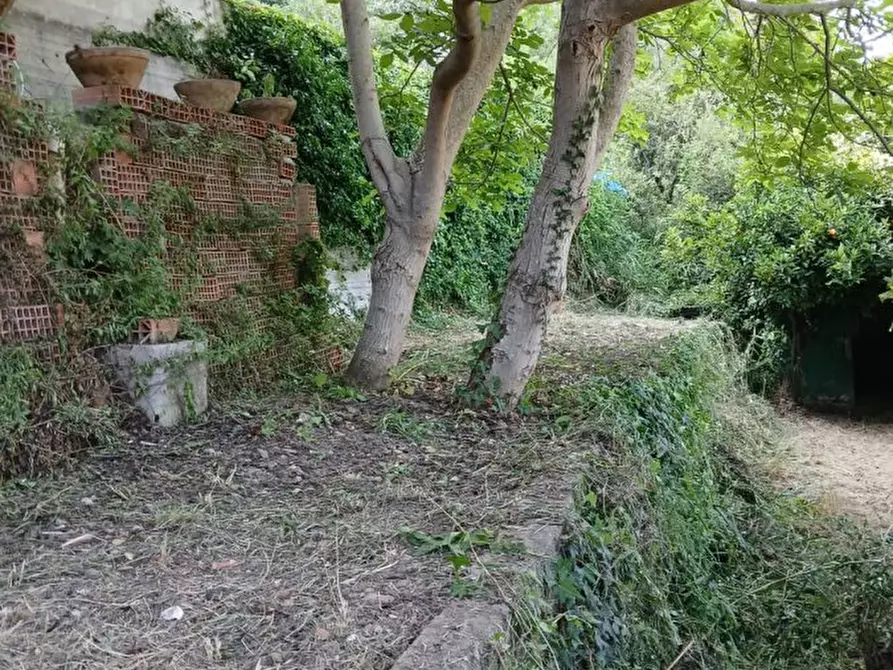 Immagine 2 di Terreno edificabile in vendita  a Rometta