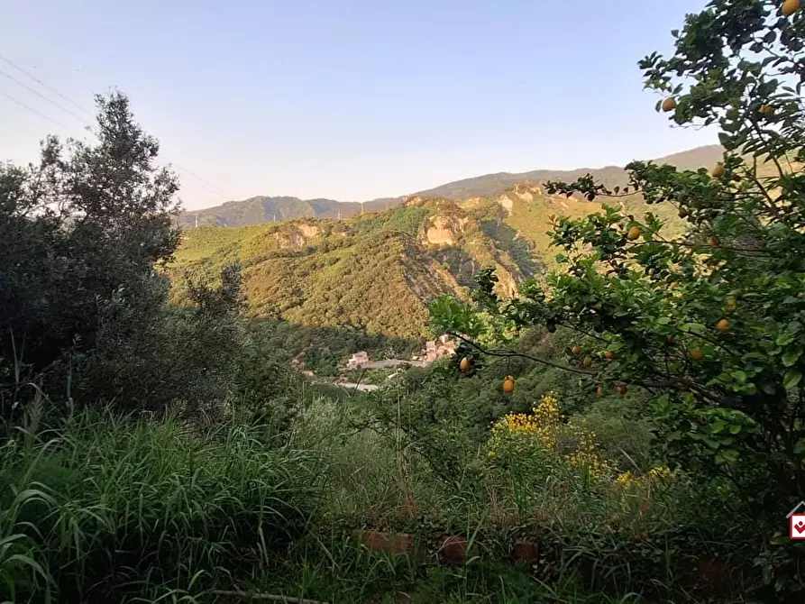 Immagine 4 di Terreno edificabile in vendita  a Rometta