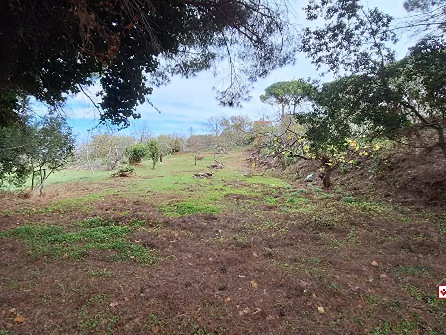 Immagine 10 di Terreno edificabile in vendita  a Messina