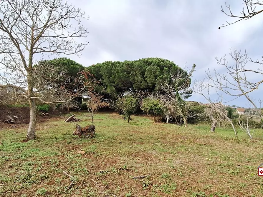 Immagine 6 di Terreno edificabile in vendita  a Messina