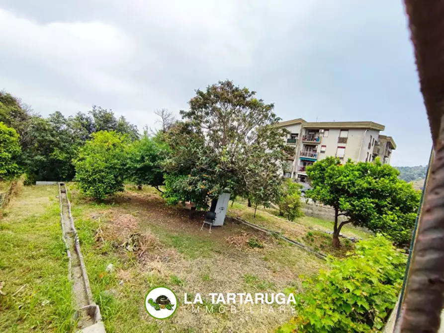 Immagine 4 di Terreno edificabile in vendita  a Pagliara