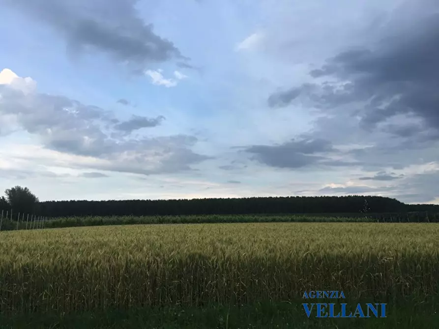 Immagine 3 di Terreno edificabile in vendita  a Soliera