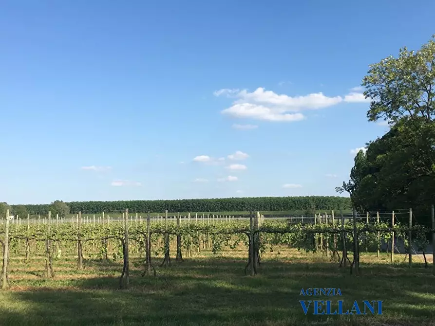 Immagine 7 di Terreno edificabile in vendita  a Soliera