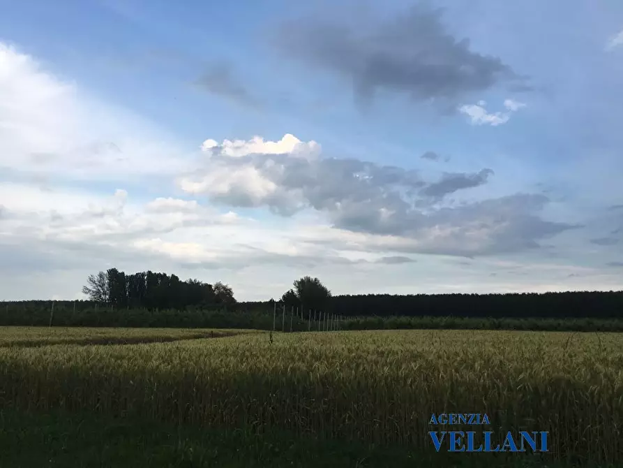 Immagine 4 di Terreno edificabile in vendita  a Soliera