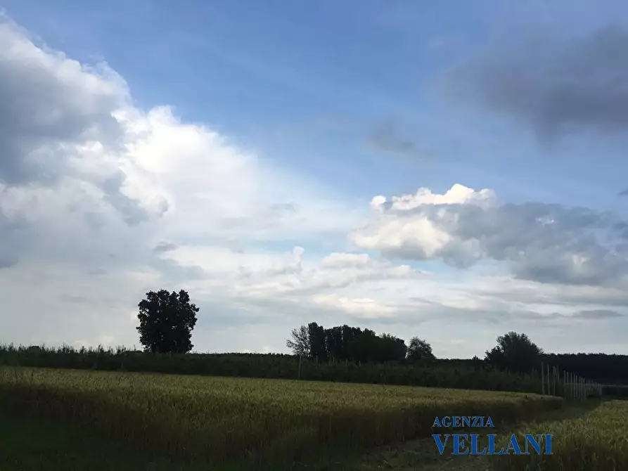 Immagine 5 di Terreno edificabile in vendita  a Soliera