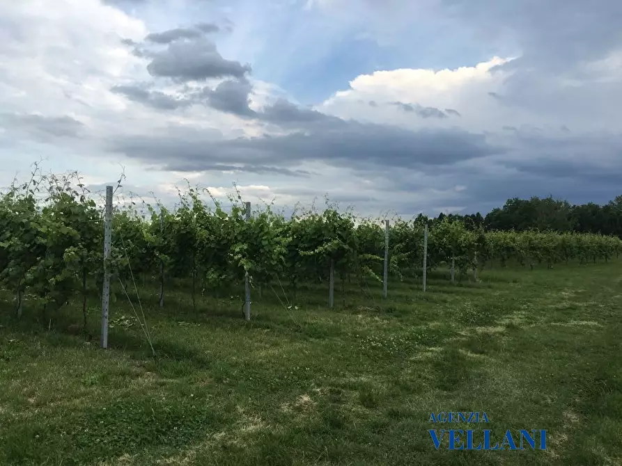 Immagine 6 di Terreno edificabile in vendita  a Soliera