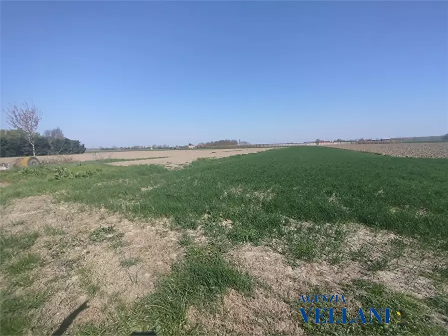 Immagine 2 di Terreno edificabile in vendita  a Novi Di Modena