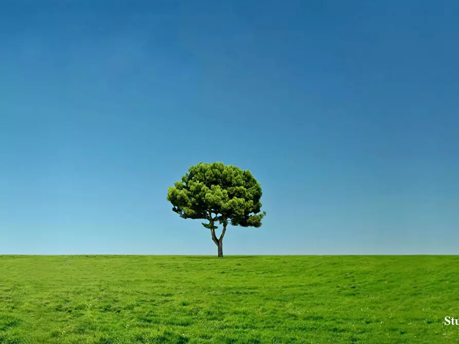 Immagine 1 di Terreno edificabile in vendita  a Carate Brianza