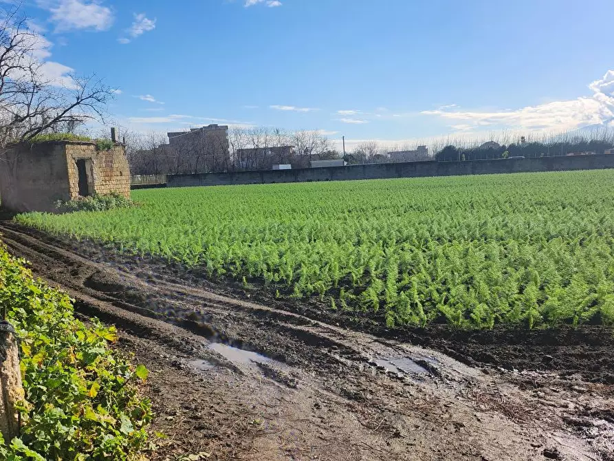 Immagine 1 di Terreno edificabile in vendita  a Acerra
