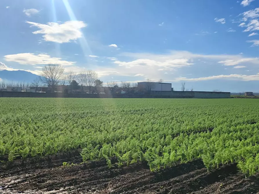 Immagine 6 di Terreno edificabile in vendita  a Acerra