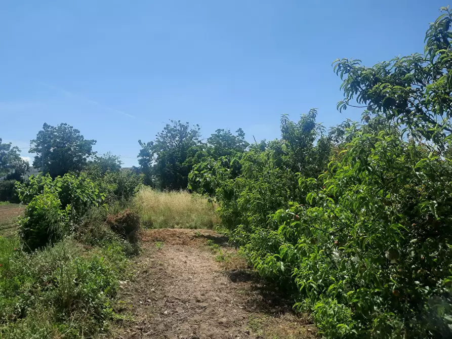 Immagine 2 di Terreno edificabile in vendita  a Caivano