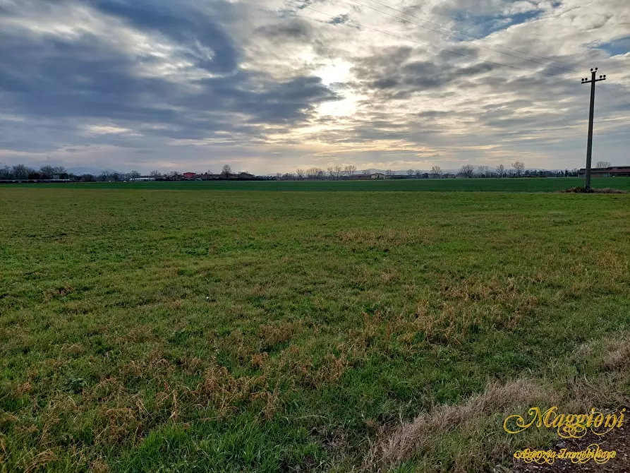 Immagine 7 di Terreno in vendita  a Parma