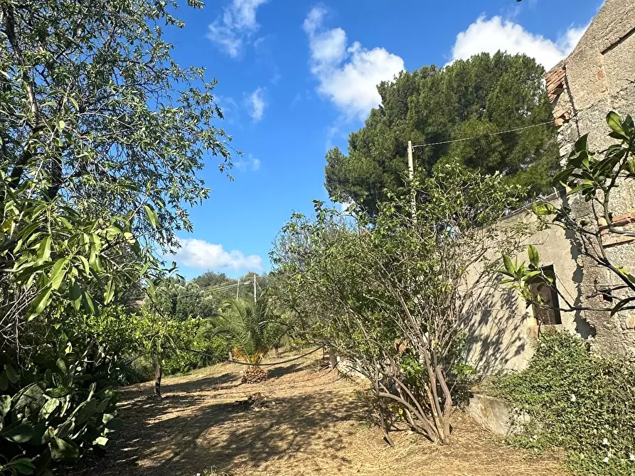 Immagine 4 di Terreno edificabile in vendita  a Melito Di Porto Salvo