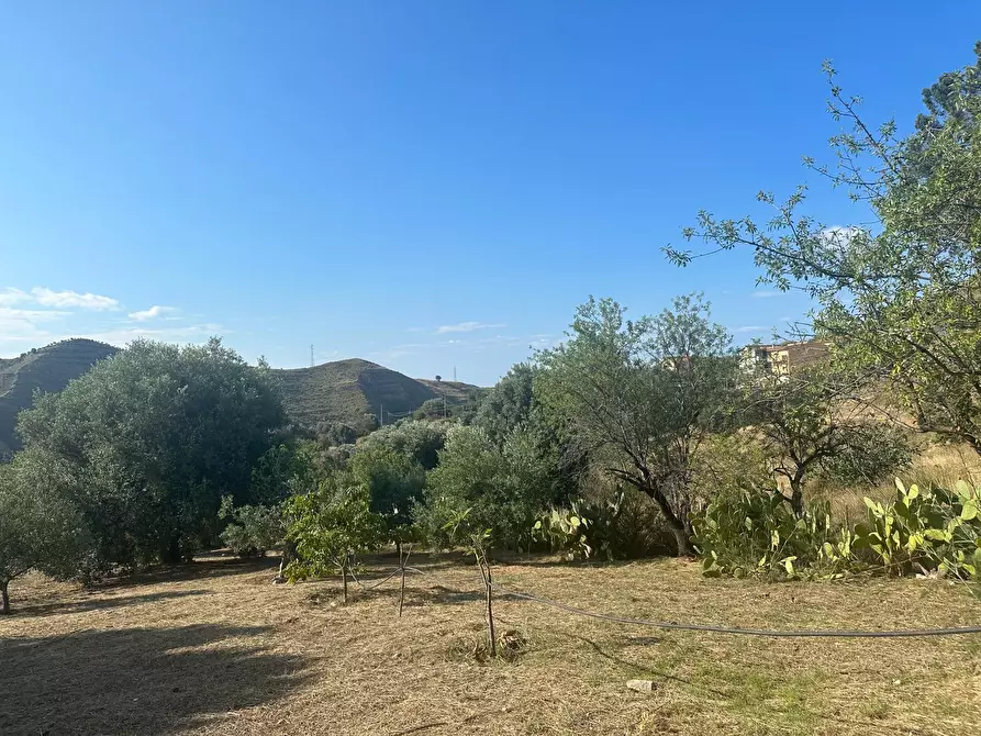 Immagine 2 di Terreno edificabile in vendita  a Melito Di Porto Salvo