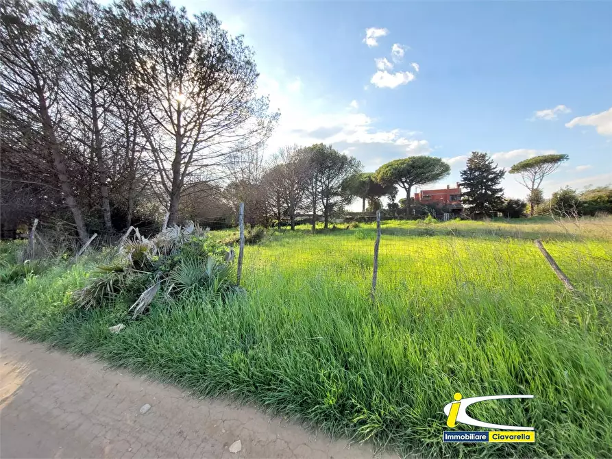 Immagine 5 di Terreno edificabile in vendita  a Ladispoli