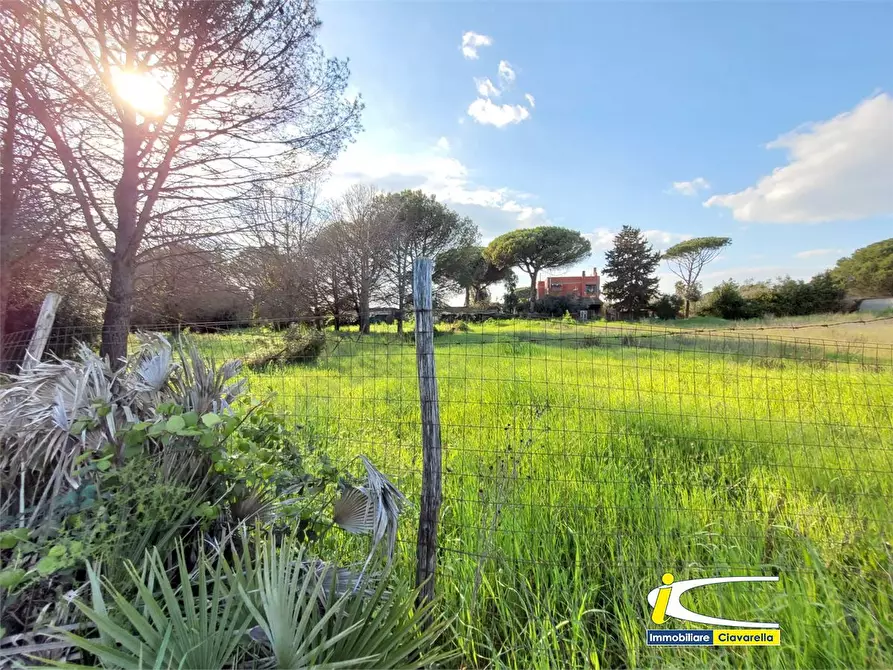 Immagine 2 di Terreno edificabile in vendita  a Ladispoli