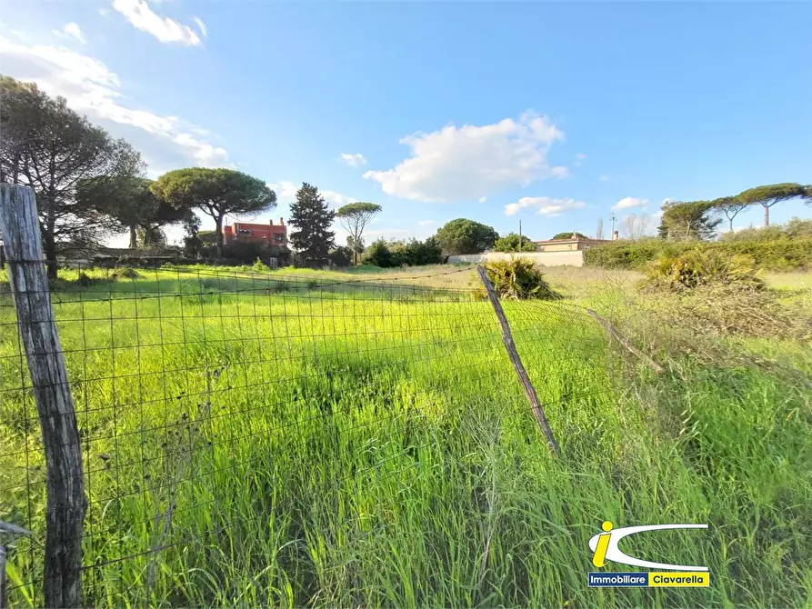 Immagine 4 di Terreno edificabile in vendita  a Ladispoli