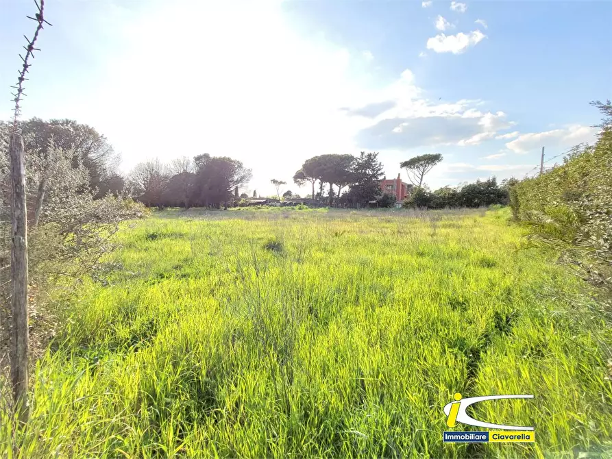 Immagine 3 di Terreno edificabile in vendita  a Ladispoli