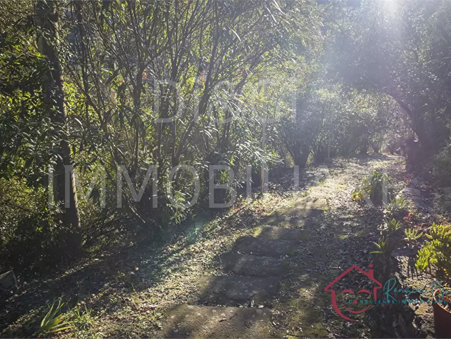 Immagine 6 di Terreno edificabile in vendita  a Garlenda