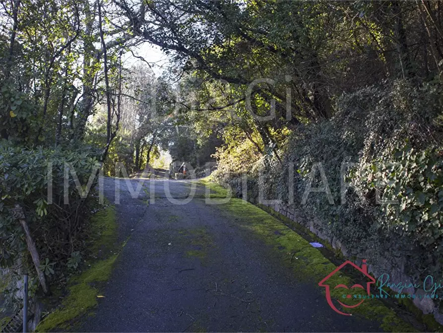 Immagine 10 di Terreno edificabile in vendita  a Garlenda