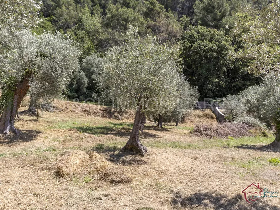 Immagine 4 di Terreno edificabile in vendita  a Ortovero