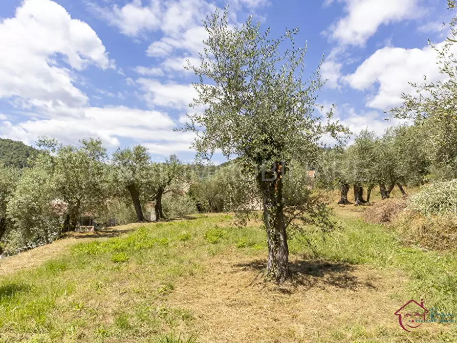 Immagine 3 di Terreno edificabile in vendita  a Ortovero