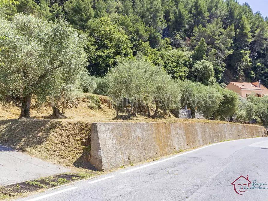 Immagine 2 di Terreno edificabile in vendita  a Ortovero