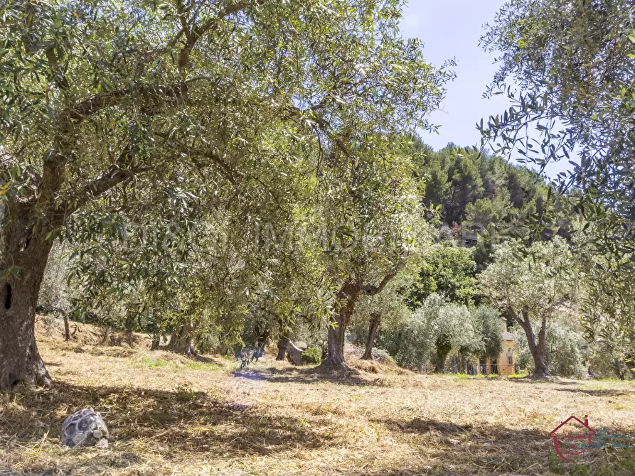 Immagine 5 di Terreno edificabile in vendita  a Ortovero