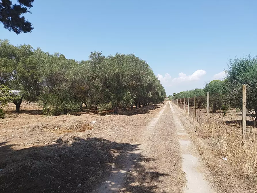 Immagine 2 di Terreno edificabile in vendita  a Maruggio