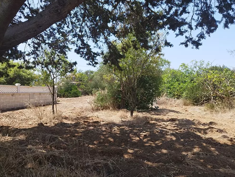 Immagine 4 di Terreno edificabile in vendita  a Maruggio