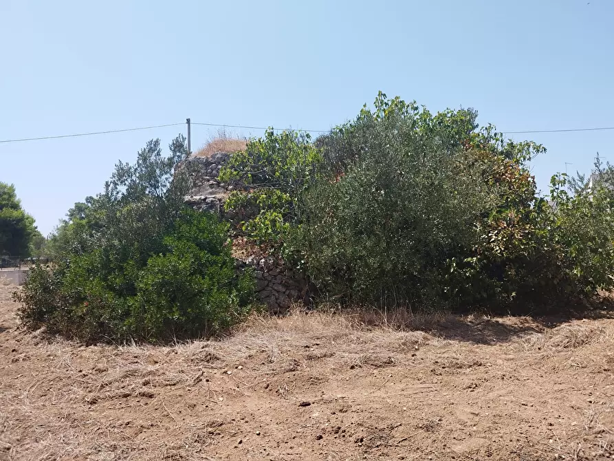 Immagine 6 di Terreno edificabile in vendita  a Maruggio